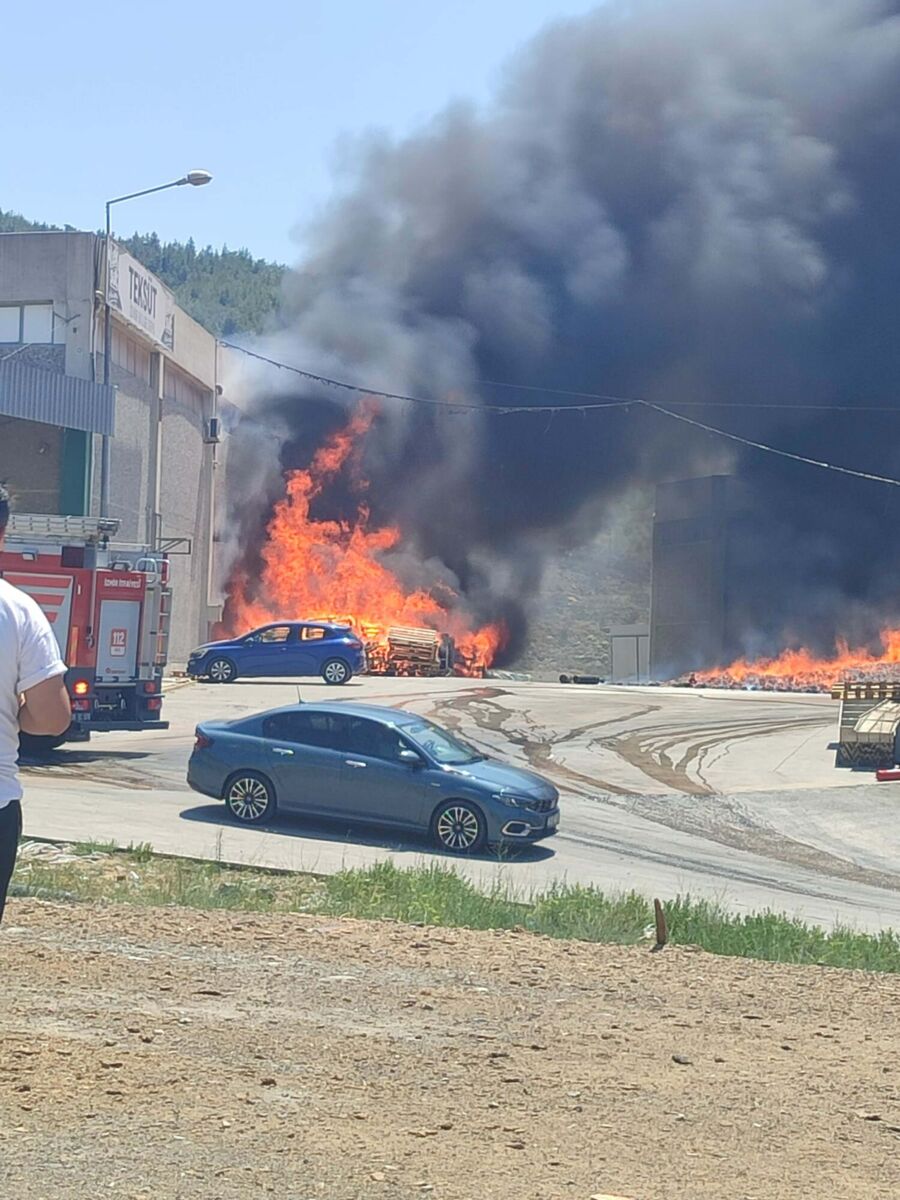 İzmir’in Bornova ilçesinde bir palet fabrikasının bahçesinde çıkan yangın, büyük