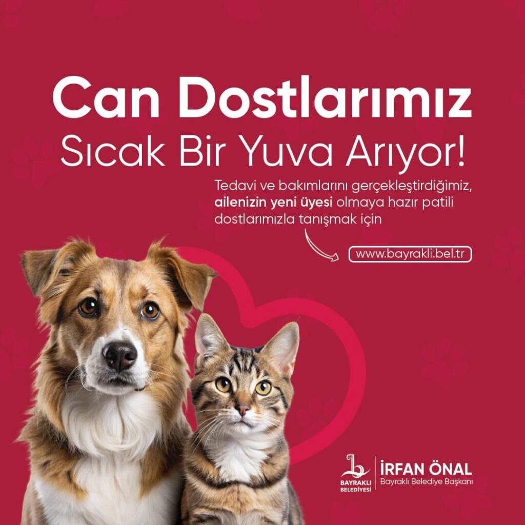 bayraklı 
