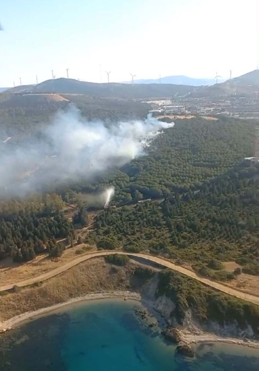 İzmir’in Aliağa ilçesindeki Tüpraş Ormanı’nda yangın çıktı. Havadan ve karadan