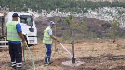 İzmir Büyükşehir Belediyesi’nin Yamanlar Dağı yangınında büyük zarar gören Sancaklı