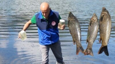 İzmir’in Ödemiş ilçesindeki Gölcük Gölü’nde balık ölümleri yaşandı. Tarım arazilerinin