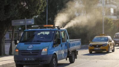 Buca Belediyesi, son dönemde aniden artan beyaz sinek popülasyonuna karşı
