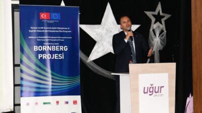 Türkiye ve AB Arasında Şehir Eşleştirme-II: Yeşil Bir Gelecek İçin