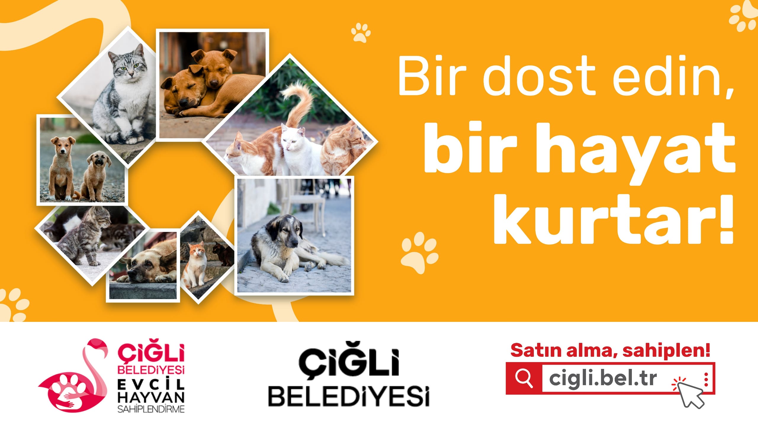 Çiğli'de Can Dostlar yuvasız kalmayacak