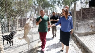 Karşıyaka Belediyesi, yangın felaketi nedeniyle tahliye edilen Celal Üner Hayvan Bakımevi’nin