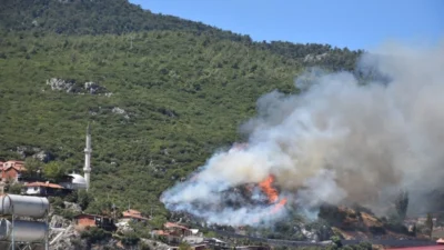 İzmir'in Kemalpaşa ilçesindeki ormanlık alanda çıkan yangına, 4 uçak, 2