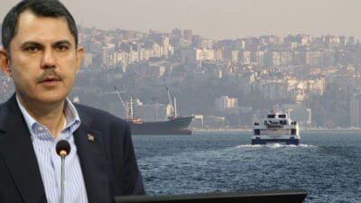 İzmir Körfezi’nde yaşanan balık ölümleri ve çevre kirliliği sonrası, Çevre,