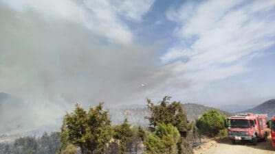 İzmir Büyükşehir Belediyesi İtfaiye Dairesi Başkanlığı’na bağlı ekipler Foça’da ormana