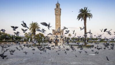 İzmir Büyükşehir Belediyesi sürdürebilir çevre politikalarıyla, Dünya Doğayı Koruma Vakfı’nın