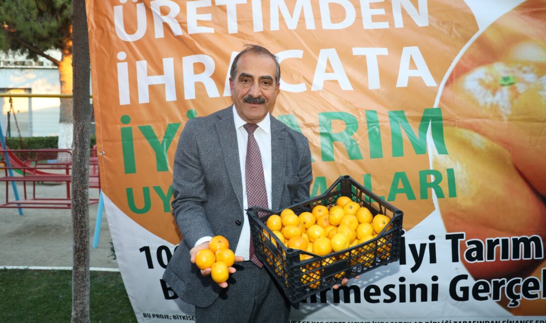 Sonbahar ve kış mevsimlerinde soğuk algınlığına karşı doğal C vitamini