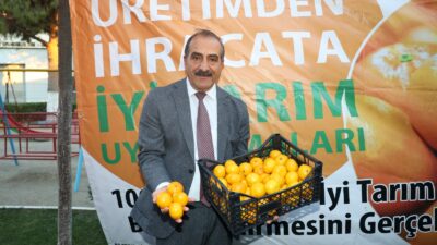 Sonbahar ve kış mevsimlerinde soğuk algınlığına karşı doğal C vitamini