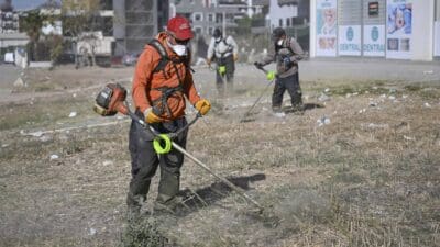 Bornova Belediyesi ve İzmir Büyükşehir Belediyesi ekipleri, ilçedeki mahallelerde gerçekleştirdikleri
