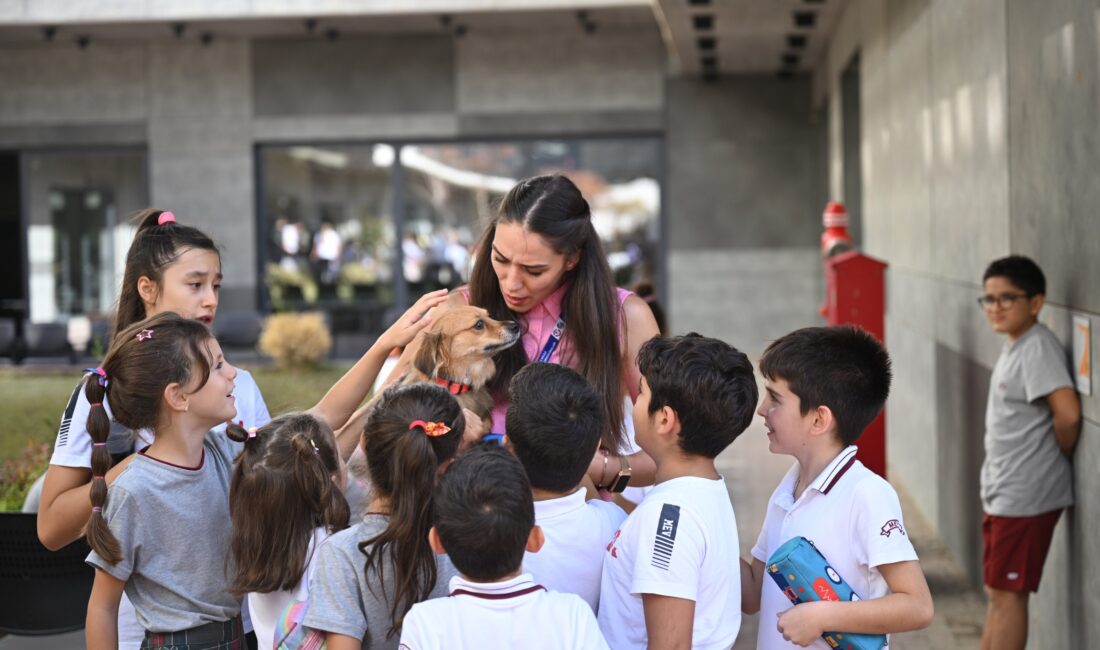 4 Ekim Hayvanları Koruma Günü Bornova’da, Bornova Belediyesi ve Milli