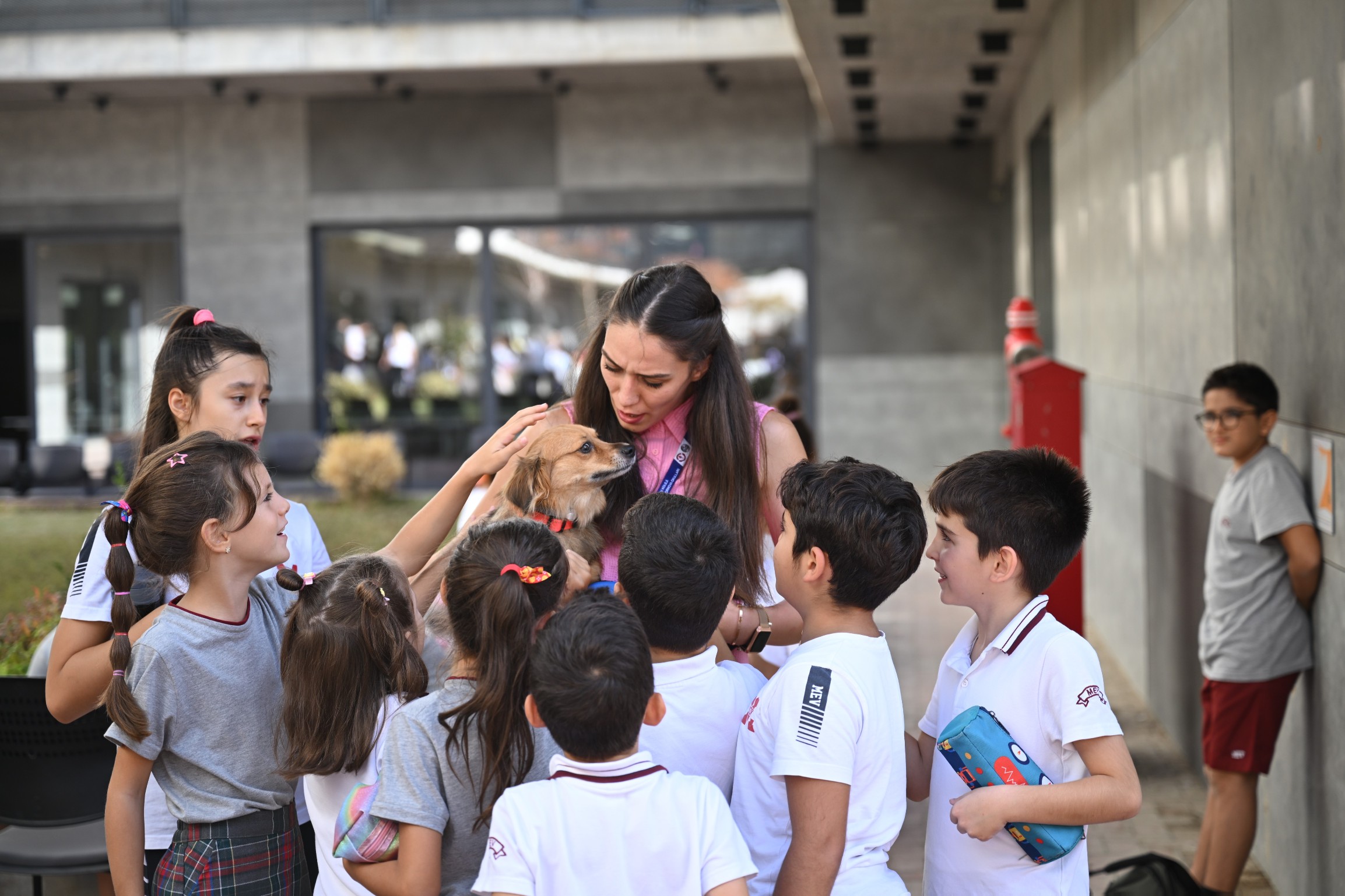 4 Ekim Hayvanları Koruma Günü Bornova’da, Bornova Belediyesi ve Milli