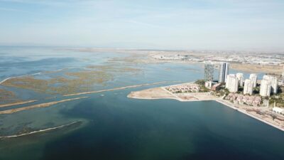 Uzmanlar, İzmir Körfezi'nde deniz suyuna karışan kirliliğin uzun yıllardır deniz