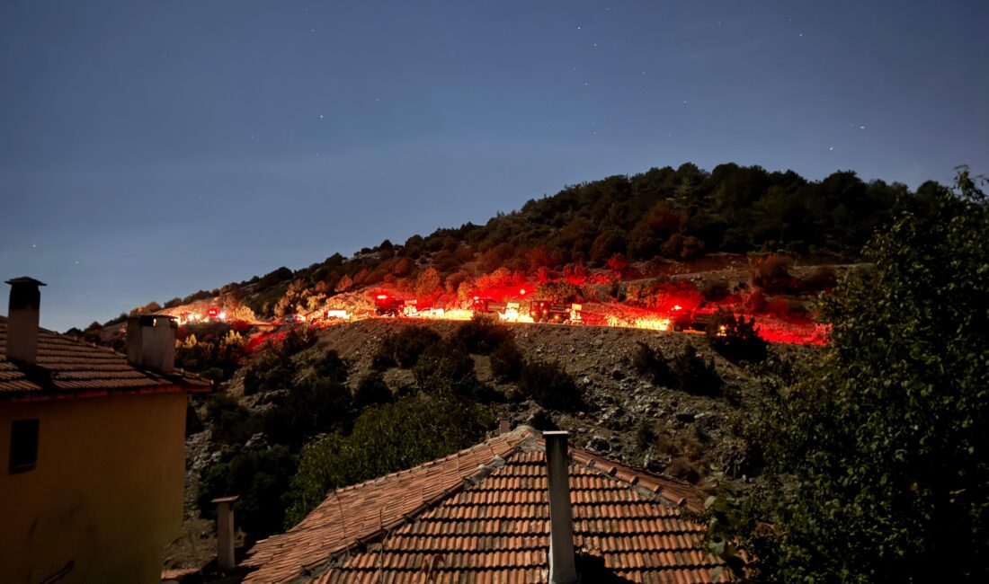İzmir'in Kemalpaşa ilçesinde ormanlık alanda çıkan yangın, İzmir Orman Bölge