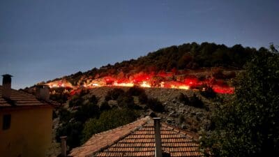 İzmir'in Kemalpaşa ilçesinde ormanlık alanda çıkan yangın, İzmir Orman Bölge