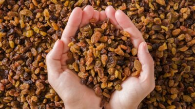 Türkiye'nin yıllık 1,7 milyar dolarlık kuru meyve ihracatının yüzde 60'ının