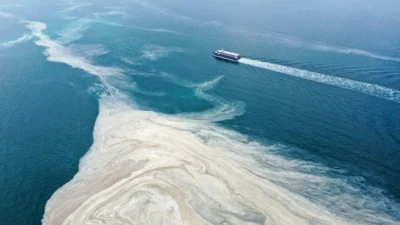 Prof. Dr. Mustafa Sarı'nın Erdek Körfezi'nde yaptığı son dalışta, Marmara