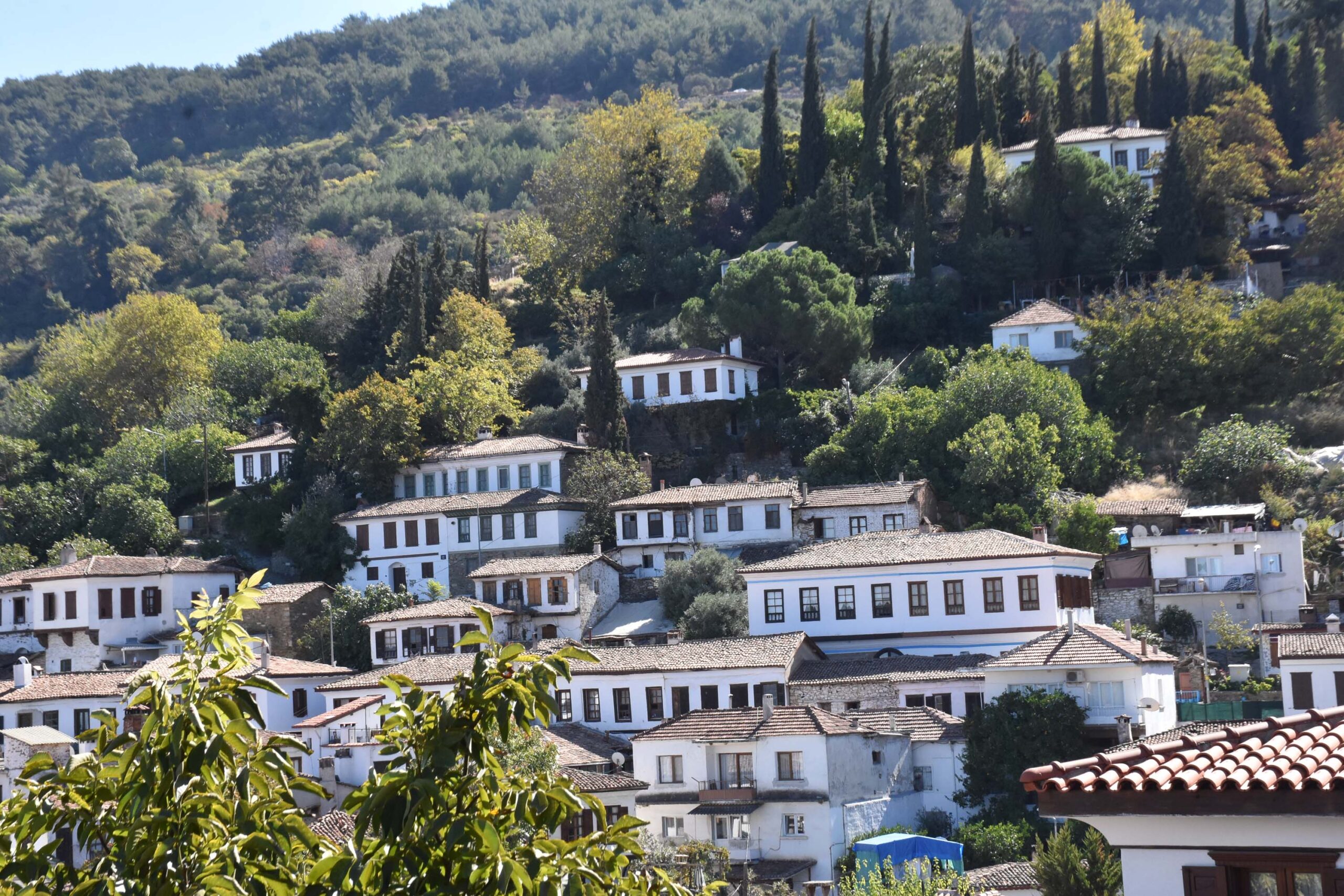 şirince