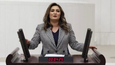 CHP İzmir Milletvekili Sevda Erdan Kılıç’ın, “Gençler arasında suç oranlarındaki
