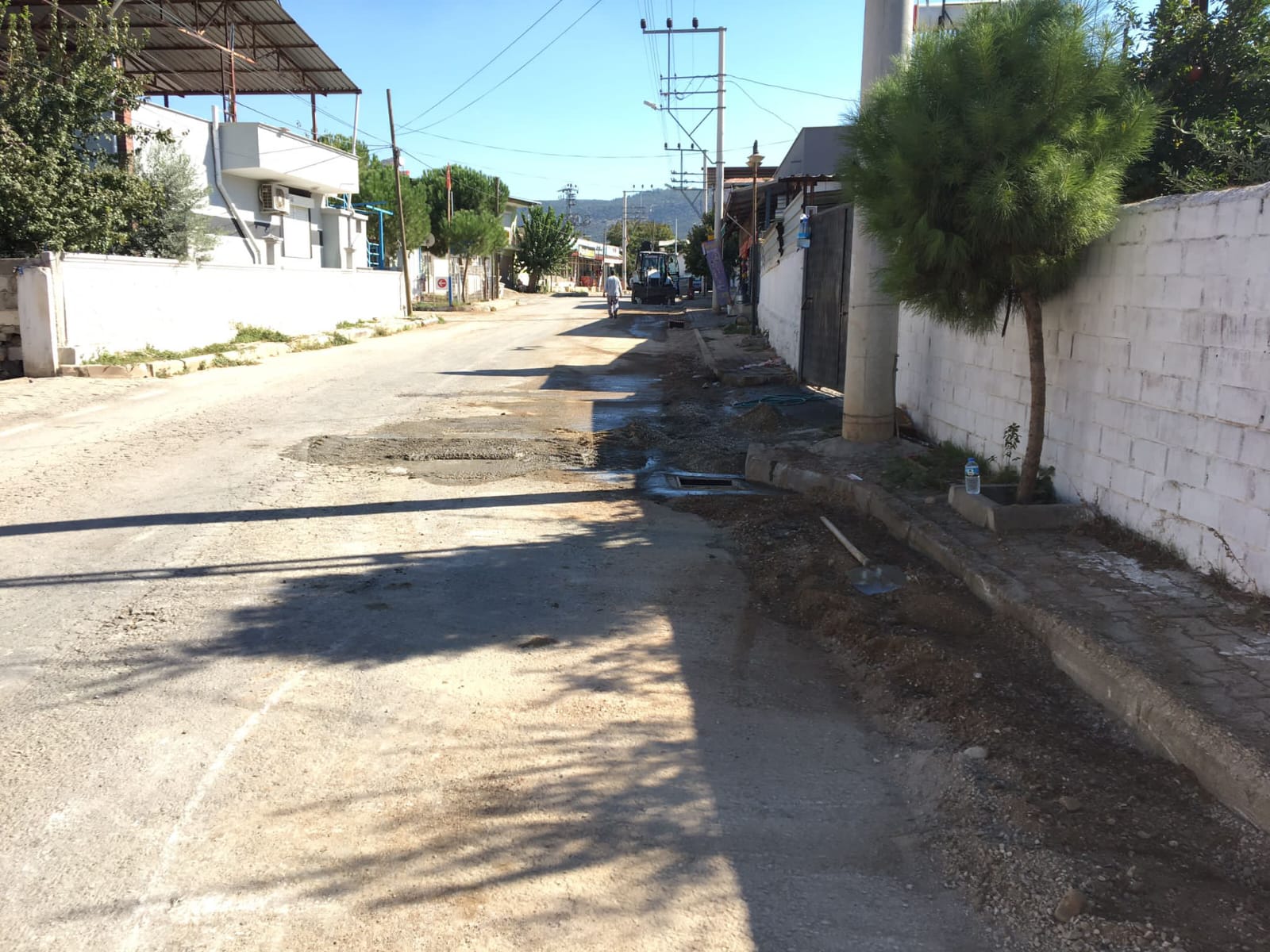 taşkın