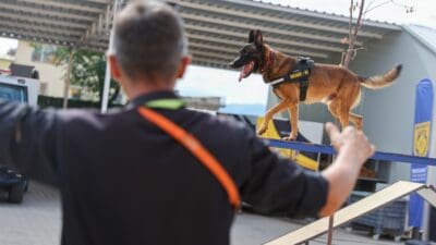 Buca Belediyesi’nin arama kurtarma birimi BUCAKUT, çalışmalarıyla ilçe belediyelerine örnek