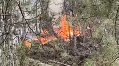 Denizli'nin Merkezefendi ve Babadağ ilçeleri sınırlarında başlayan Karcı Dağı'ndaki orman