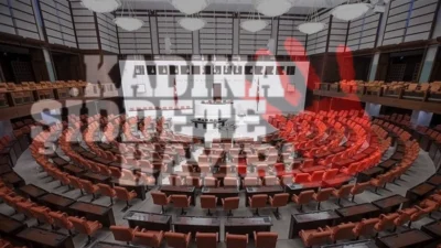 Kadına yönelik şiddeti araştırmak amacıyla bir komisyonun kurulması, Resmi Gazete'de