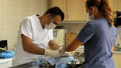 Karşıyaka Belediyesi, hayvanseverler ile iş birliği içerisinde yürüttüğü kısırlaştırma çalışmalarında