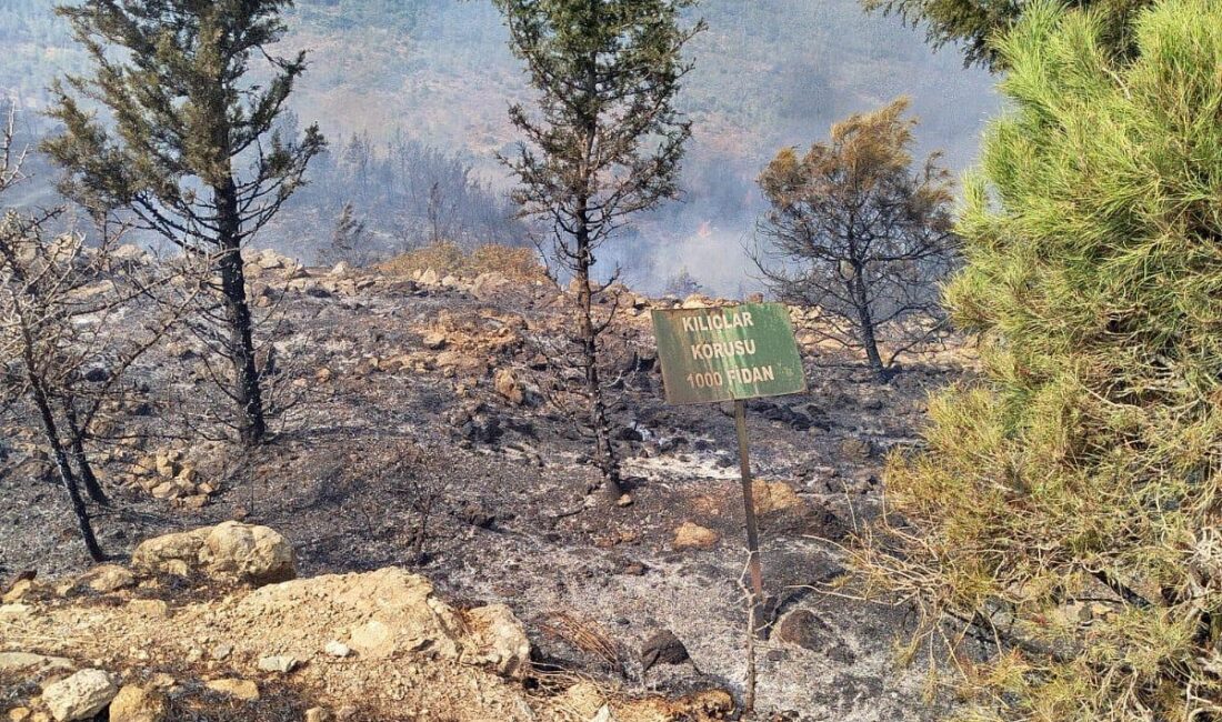 Foça ilçesinde çıkan orman yangınına havadan ve karadan müdahale sürüyor.