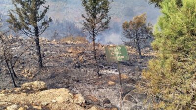 Foça ilçesinde çıkan orman yangınına havadan ve karadan müdahale sürüyor.