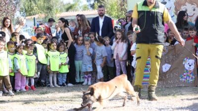 Buca Belediye Başkanı Görkem Duman, Dünya Hayvanları Koruma Günü’nde Sokak