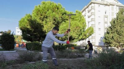 Narlıdere Belediyesi Park ve Bahçeler Müdürlüğü ekipleri, kış mevsimi öncesinde