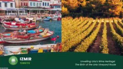 Urla’nın tarihi şarap kültürünü canlandırmak, şarap üreticileri arasında iş birliğini