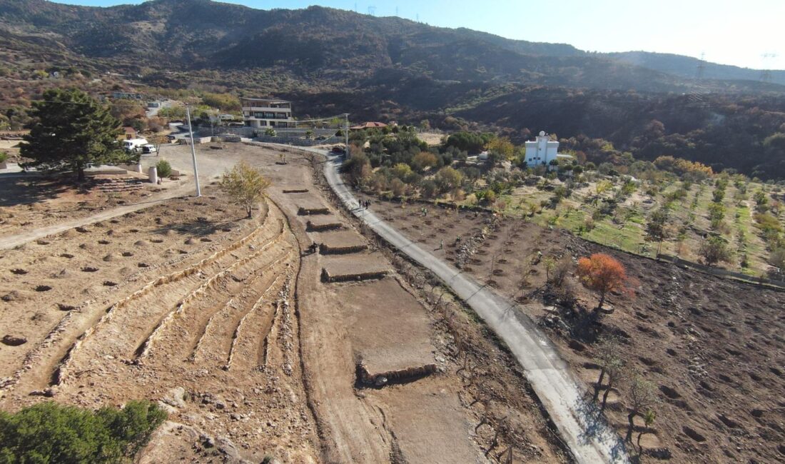 İzmir Büyükşehir Belediyesi, Yamanlar Dağı yangınından sonra geçim kaynağı arıcılık