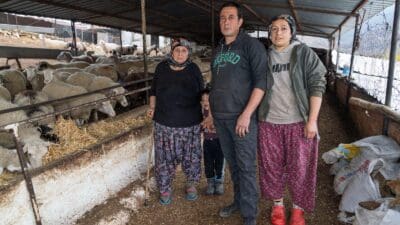 İzmir Büyükşehir Belediyesi, orman yangınlarında meraları yok olan çiftçilere yem
