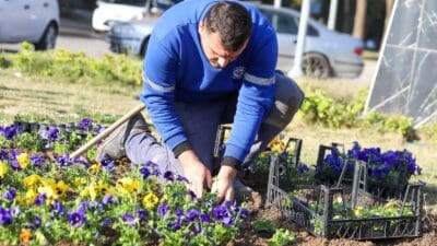 Buca Belediyesi, ilçenin park, bahçe ve yeşil alanlarında seferberlik başlattı.