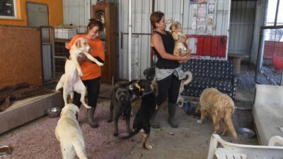 İzmir'in Foça ilçesinde hayvansever Bilge Berk (48) ve Meltem Erdoğan