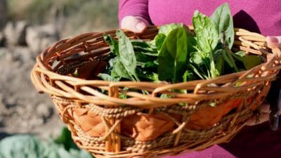 Bornova Belediyesi’nin geçtiğimiz Eylül ayında Pınarbaşı Kemalpaşa Mahallesi’nde hizmete açtığı