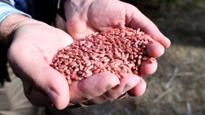 Tarım ve hayvancılıkla uğraşan üreticilere daha fazla katkı sağlamak amacıyla