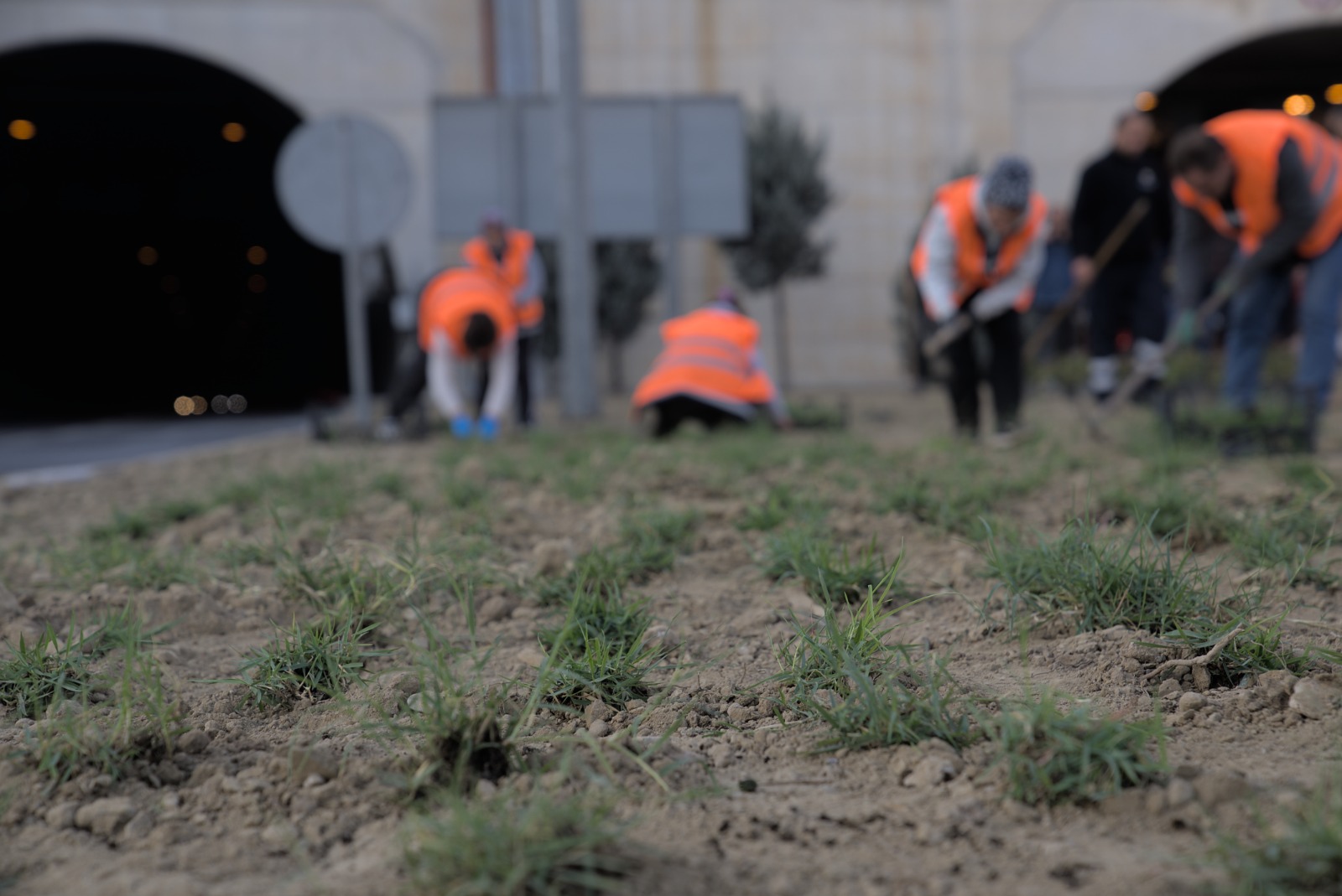 İzmir Büyükşehir Belediyesi, kentin su kaynaklarının verimli kullanılması için yeşil