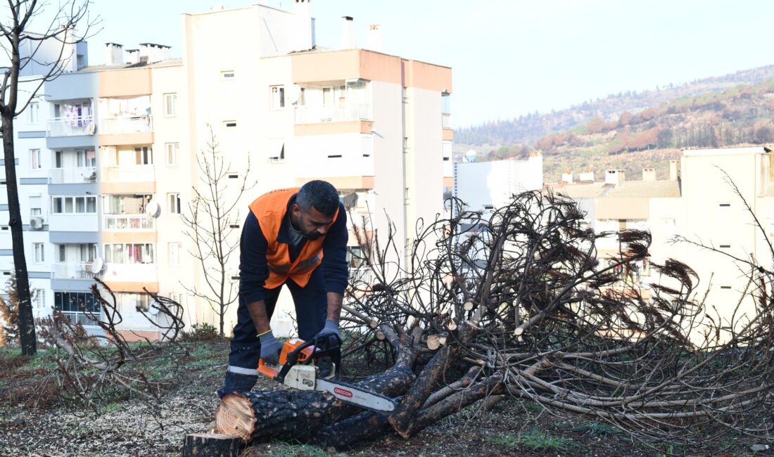 Ağustos ayında Karşıyaka’da başlayarak Çiğli’yi de etkisi altına alan orman