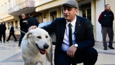  Kamuoyunda büyük tartışmalara neden olan ve sokak hayvanlarının uyutulmasını öngören