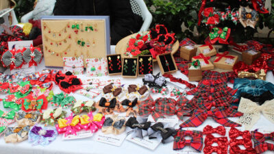 Açılış konuşmalarının ardından gençlerimizin kısa bir müzik dinletisiyle başlayacak etkinlikte,