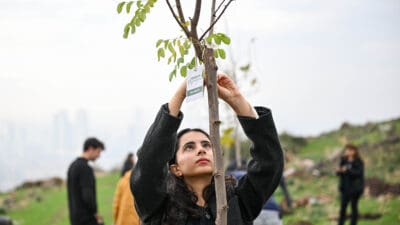 Bornova Belediyesi, Laka Mahallesi’nde geçtiğimiz yaz aylarında yaşanan büyük yangının
