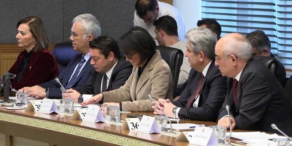 Yenidoğan bebek ölümlerini Araştırma Komisyonu toplandı | 300 kişinin telefonu dinlenmiş: "Çomak soktular kovanımıza" - 2