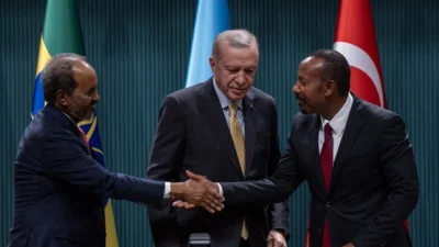 Somali ile Etiyopya arasındaki "Somaliland" krizi, Cumhurbaşkanı Recep Tayyip Erdoğan'ın