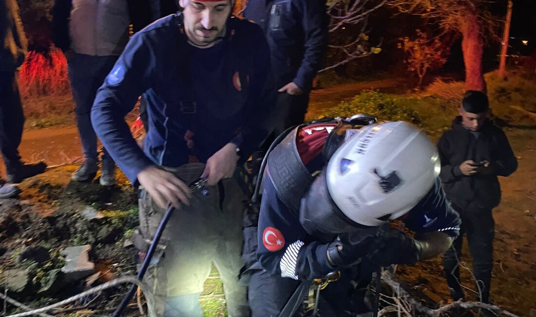 İzmir Büyükşehir Belediyesi’ne bağlı itfaiye ekipleri dün gece bir buzağıyı