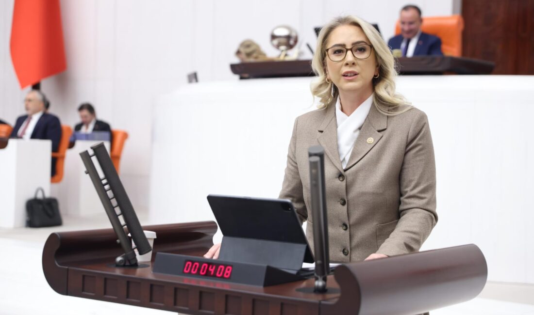 AK Parti İzmir Milletvekili Ceyda Bölünmez Çankırı muhalefetin ‘İzmir’i sevmiyorlar”